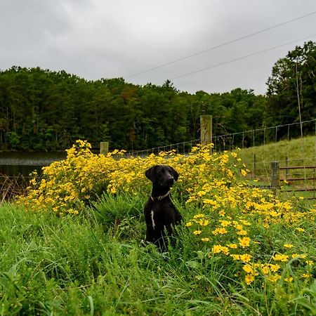 Wolf Creek Farm B&B And Motorcycle Manor At Wolf Creek Farm, Llc Ararat ภายนอก รูปภาพ