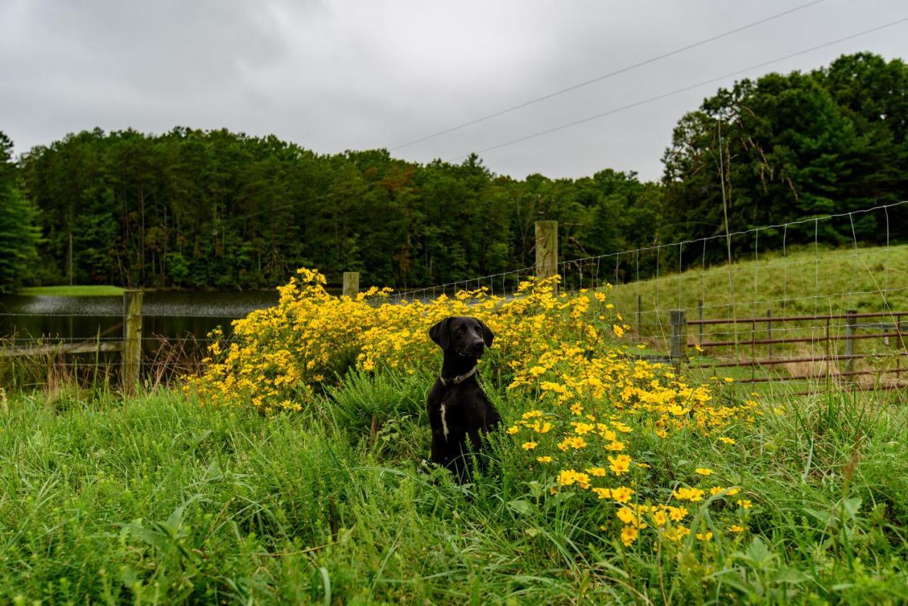 Wolf Creek Farm B&B And Motorcycle Manor At Wolf Creek Farm, Llc Ararat ภายนอก รูปภาพ
